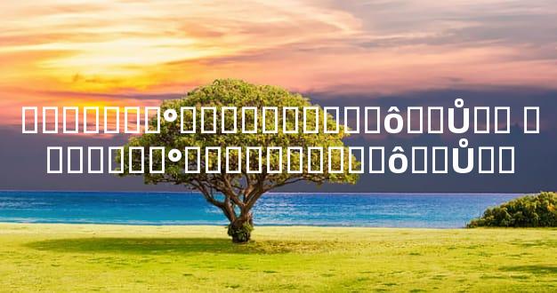 �������°����������ô��Ů�� �������°����������ô��Ů��